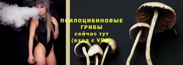 Альфа ПВП Баксан